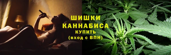 бошки Бронницы