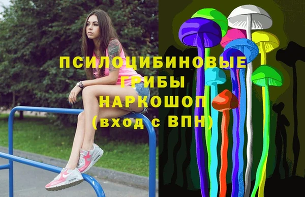 бошки Бронницы