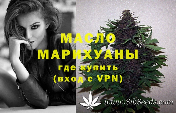 бошки Бронницы