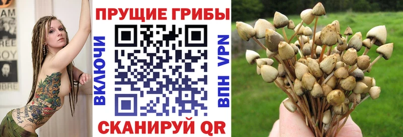 Галлюциногенные грибы GOLDEN TEACHER Венёв